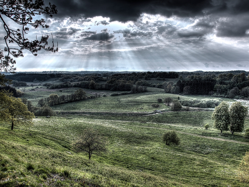 _MG_0436And10more_tonemapped.jpg