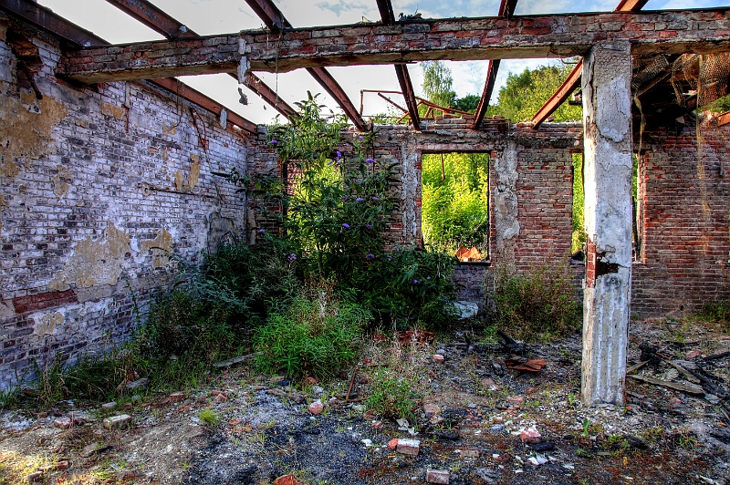 _MG_9079_80_81_tonemapped.jpg