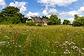 _MG_3334-3