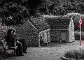 _MG_5588-3