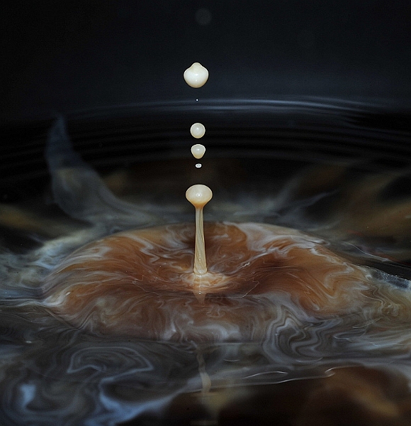 Latte.jpgX.jpgsharp.jpg