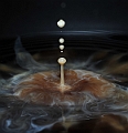 Latte.jpgX.jpgsharp