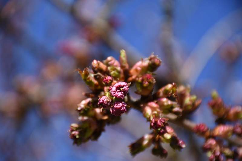 DSC_0187.JPG