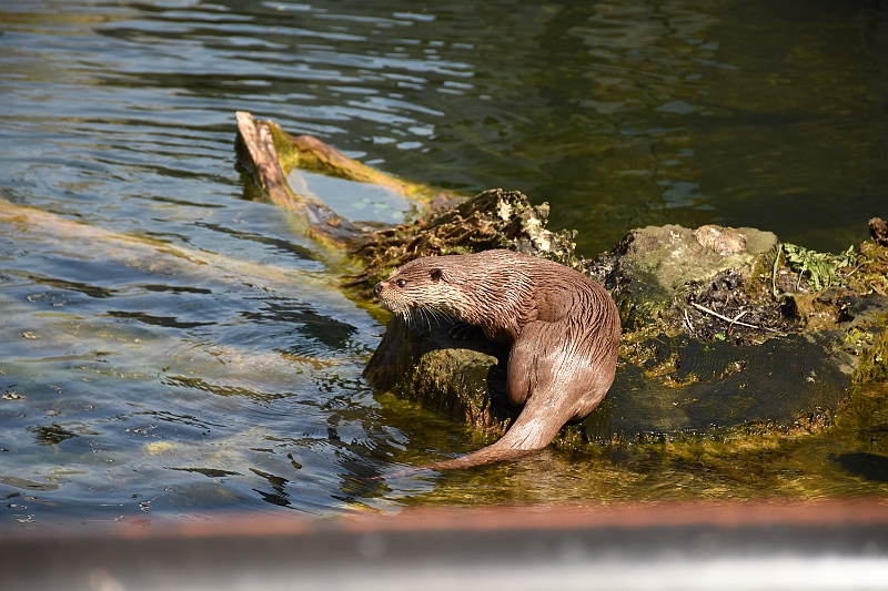 DSC_0330.JPG