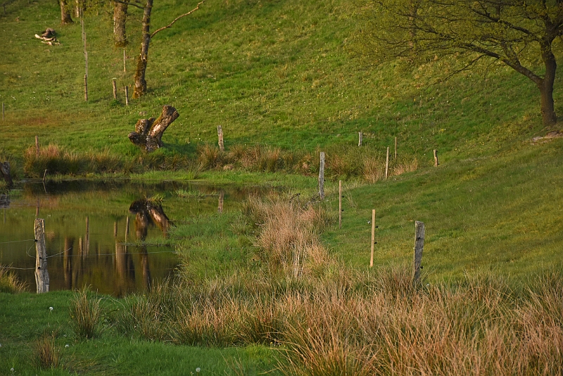 DSC_0514.JPG