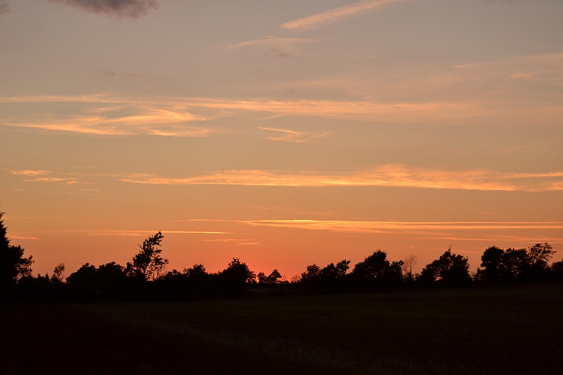 DSC_0691.JPG
