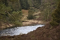 _DSC0137