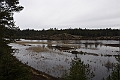 _DSC0139